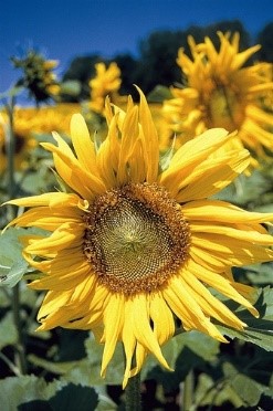 Fit & Stark – Das „Koffermodul“ 